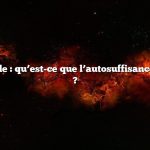 Réponse rapide : qu’est-ce que l’autosuffisance en économie ?